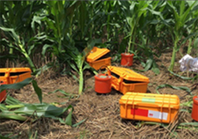 雄安新区地质调查