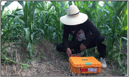 雄安新区地质调查(图3)