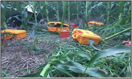 雄安新区地质调查(图5)