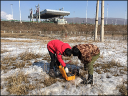 鸡西采空区探测(图6)